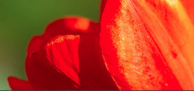 电话压力测试器