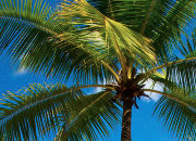 短信压力测试在线网页版